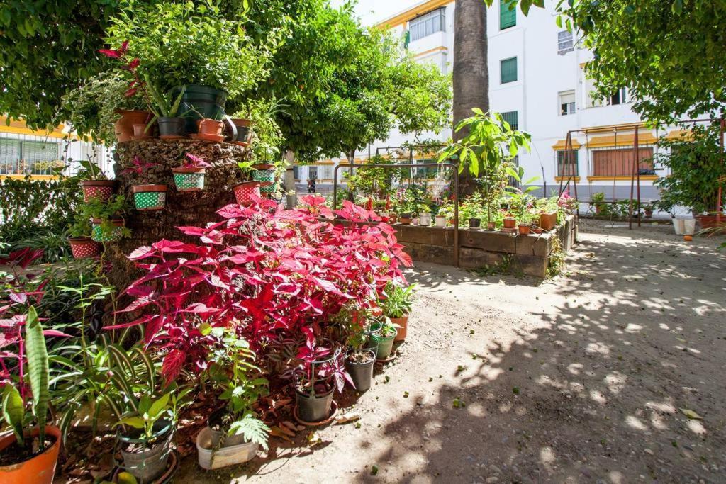 Apartamento a los pies del Alcázar Sevilha Exterior foto